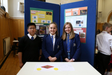 Science Fayre 2014